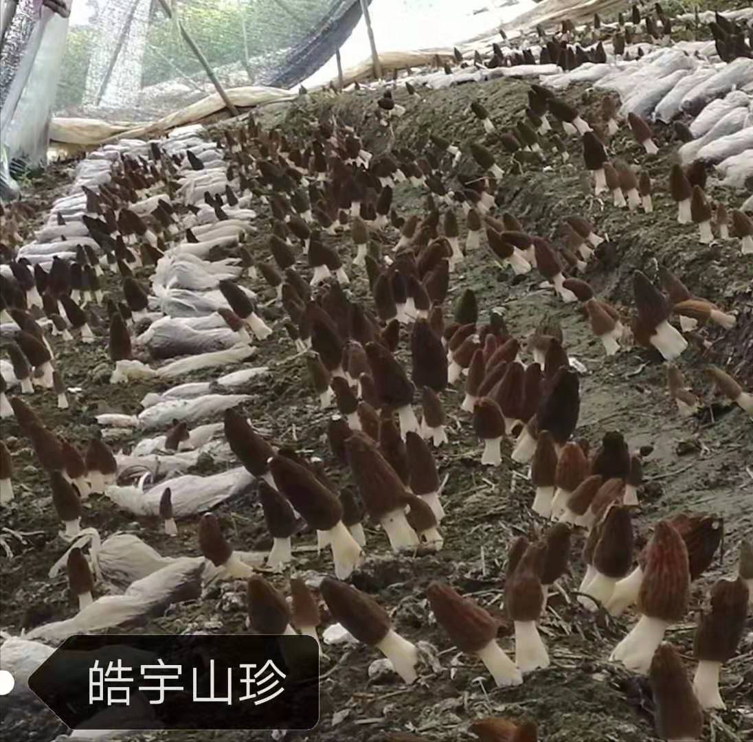 &#20061;&#28216;&#23448;&#26041;&#32593;&#39029;&#29256;&#45;&#20061;&#28216;&#40;&#20013;&#22269;&#41;
