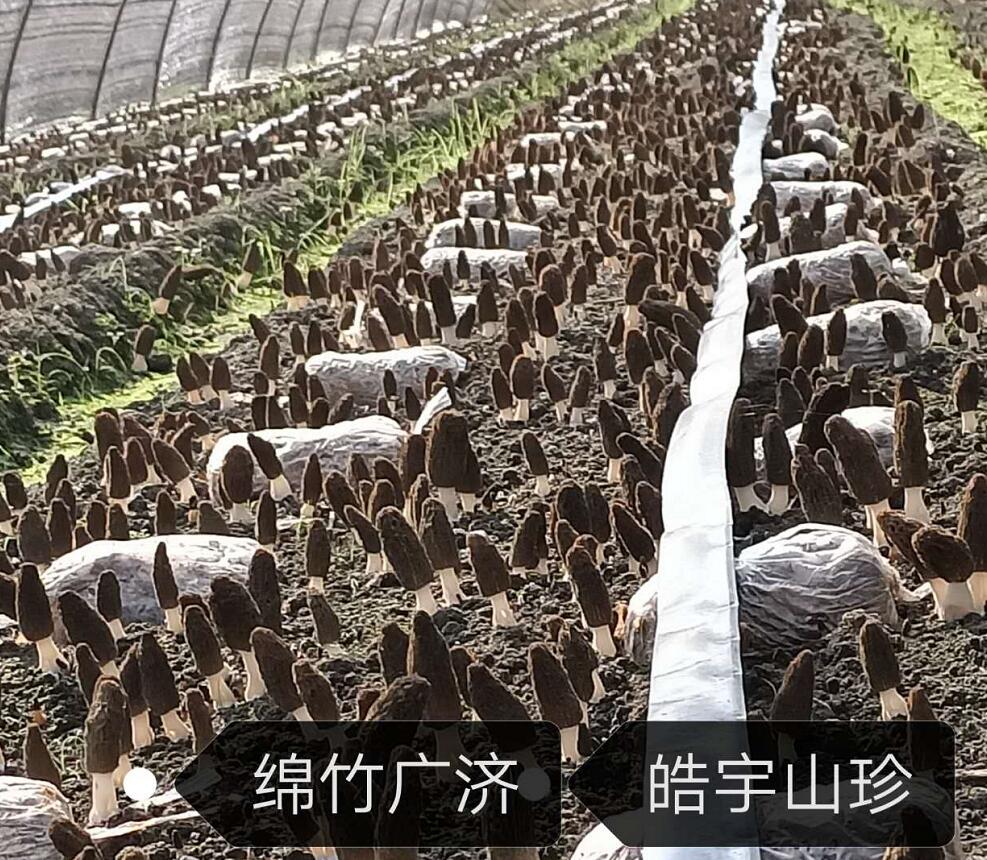 &#20061;&#28216;&#23448;&#26041;&#32593;&#39029;&#29256;&#45;&#20061;&#28216;&#40;&#20013;&#22269;&#41;
